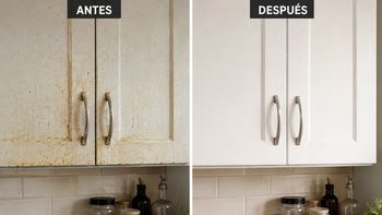 Ni lavandina ni detergente: la forma ideal de ELIMINAR la grasa de los muebles de la cocina