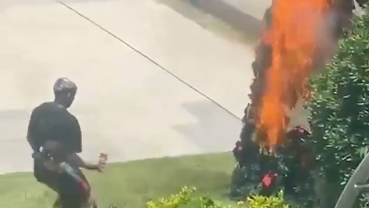 Piqueteros prendieron fuego un árbol de Navidad en Lanús.&nbsp;