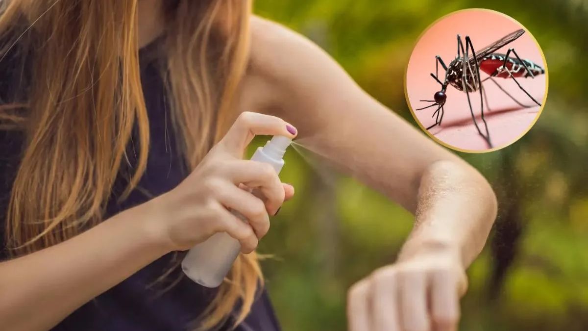 Descubrí cómo evitar mosquitos en tu casa con solo tres ingredientes.