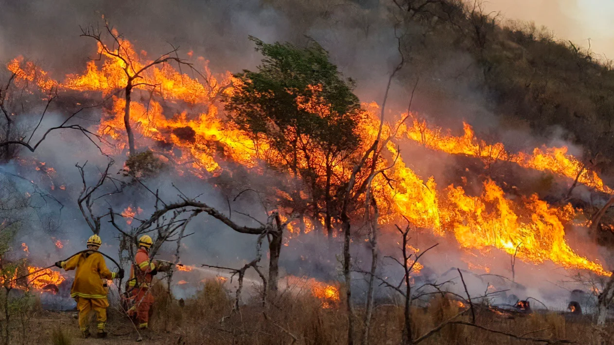 Las impágnes de los incendios en Córdoba. (Foto: NA)