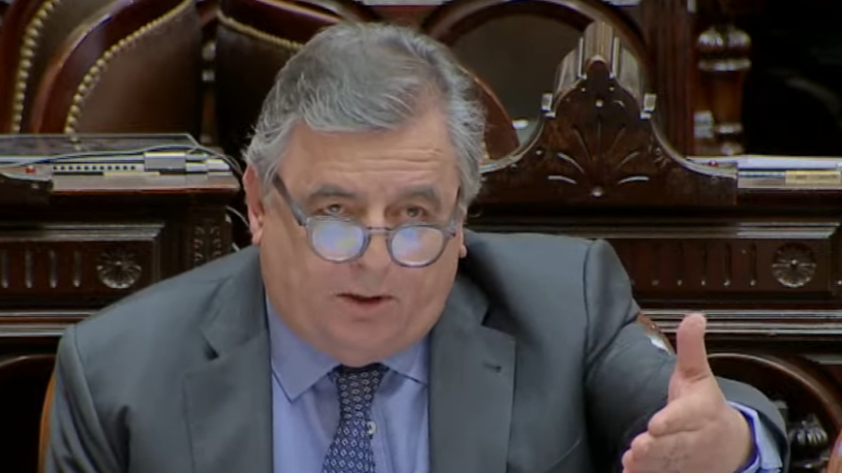 Mario Negri durante la presentación de Juan Manzur en la Cámara de Diputados. (Captura)