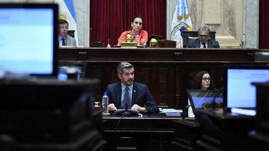 Entiendo que es un día difícil, pero no se ponga nervioso, la chicana de Peña a Tailhade en Diputados