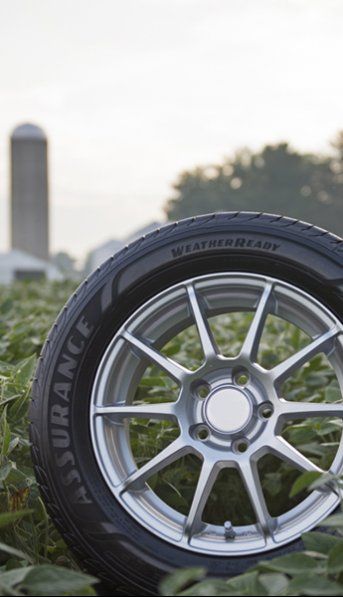Goodyear y la adquisición sostenible de soja para neumáticos