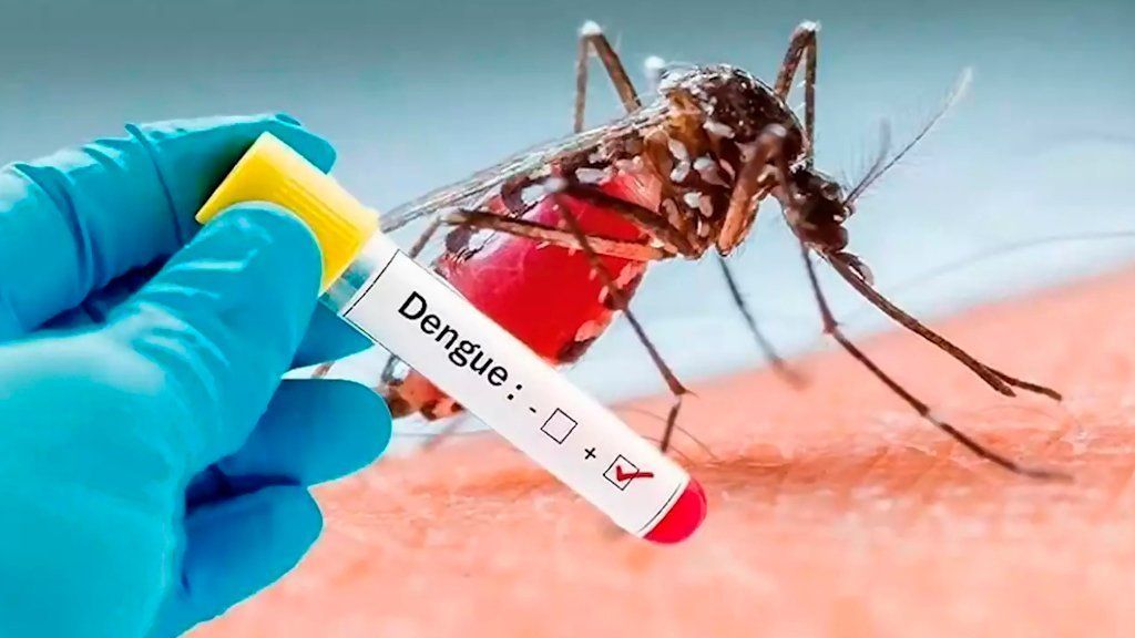 Antes que al coronavirus, la Argentina necesita poner atención sobre un nuevo brote de dengue