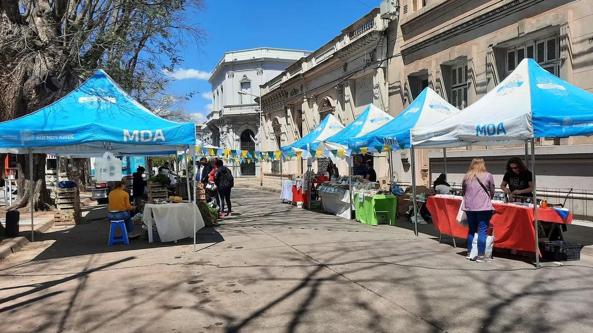 Cómo hacer para ahorrar $12.000 con Cuenta DNI en mercados bonaerenses en abril 2024