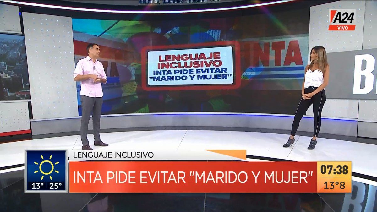 Así es la propuesta del manual de lenguaje inclusivo del INTA (Foto: captura de TV).