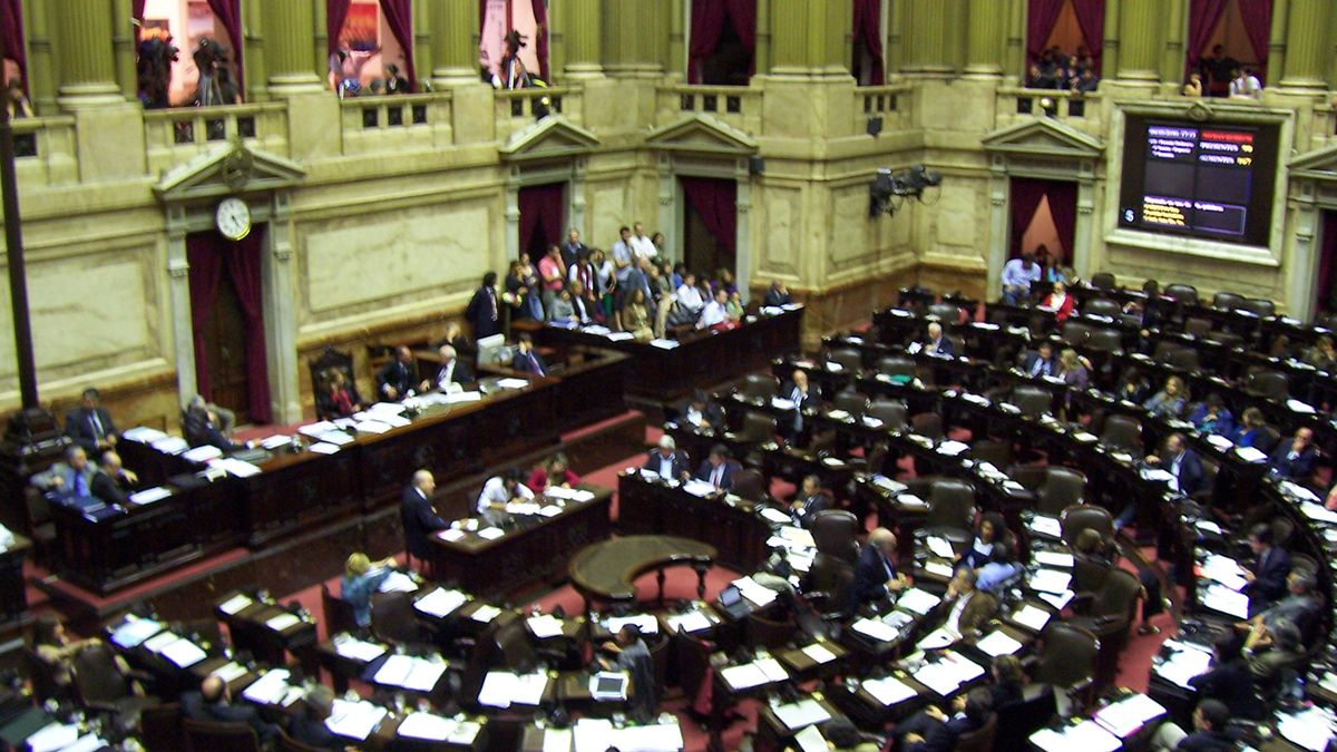 La Cámara de Diputados será la gran protagonista de la semana entrante (Foto: Leandro Kibisz)