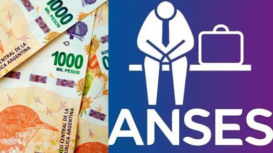 ANSES confirmó un BONO para desocupados en AGOSTO: cómo cobrarlo