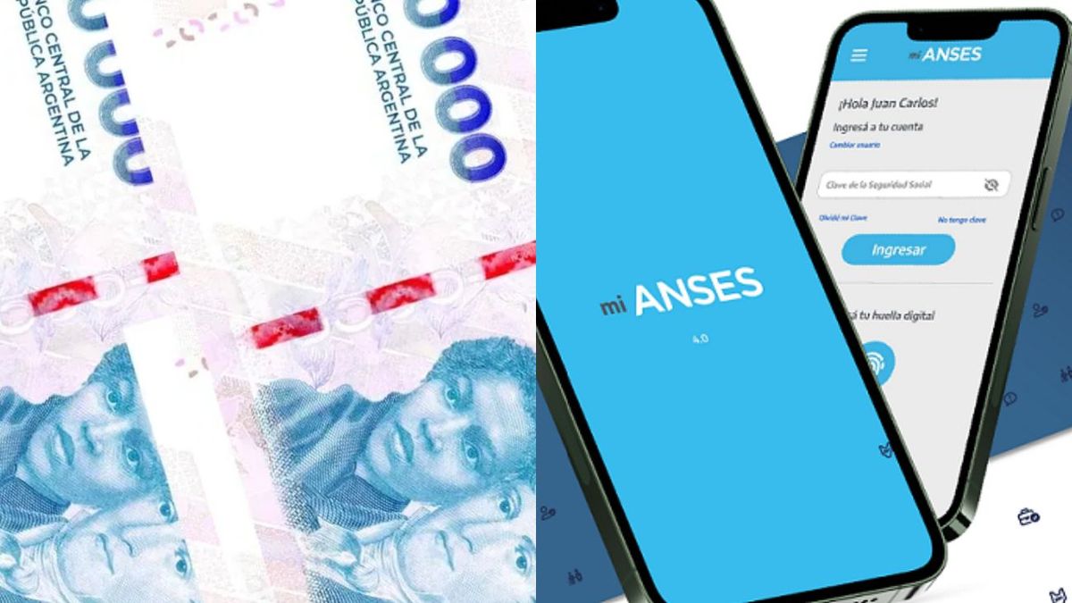 SUAF: ANSES permite pedir la Asignaci&oacute;n por Nacimiento desde el celular