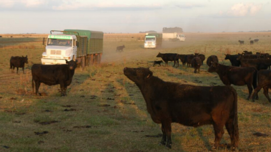 El campo y sus esquemas defensivos: mismas superficies, compras de insumos anticipadas y postergación de proyectos nuevos