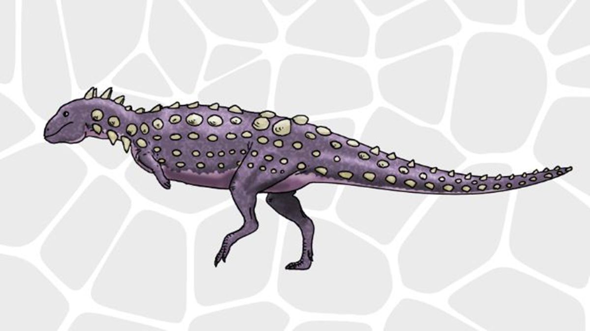 Así era el dinosaurio acorazado de la Patagonia. (Foto: CONICET - Daniel Boh)