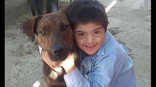 Envenenaron a un perro que era guía de un niño con síndrome de Down