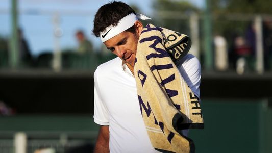 Furor en las redes por el increíble parecido de Juan Martín del Potro con un famoso músico