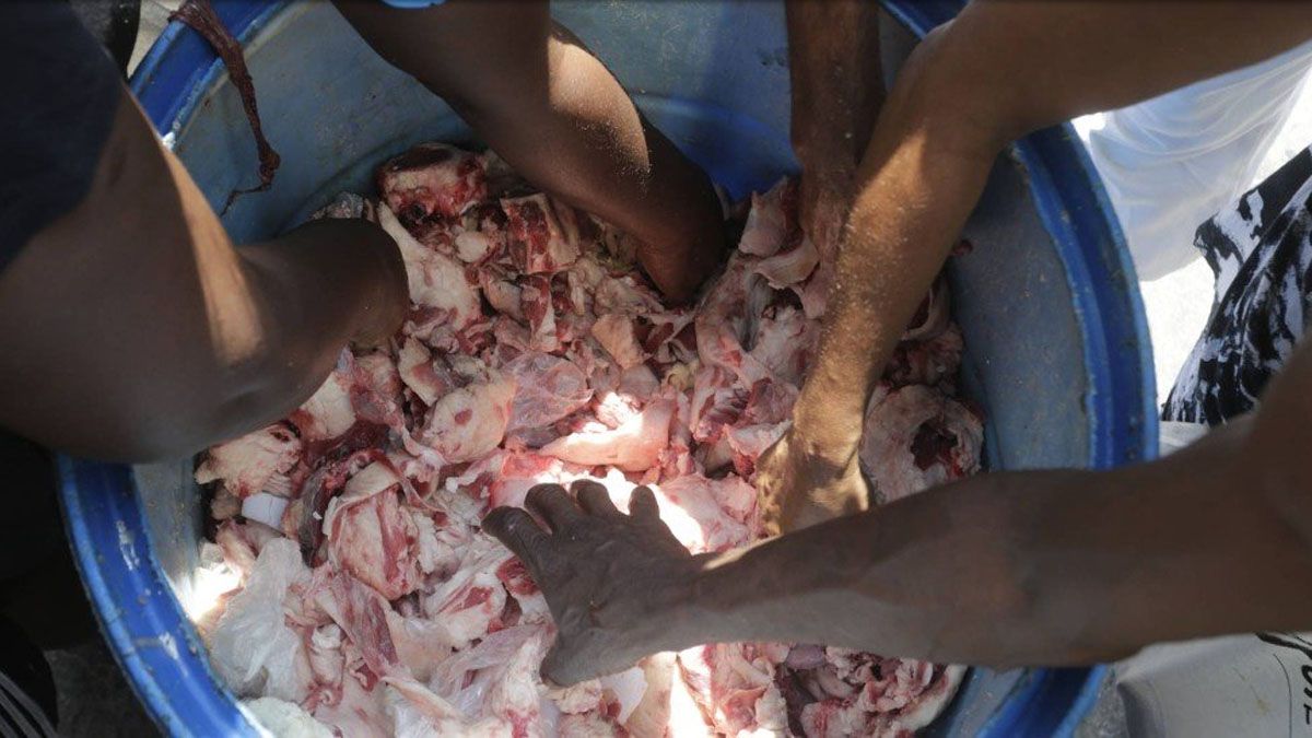 Manos revisan restos de huesos y carne. Separan los mejores pedazos para comer cada día (Foto: EXTRA)
