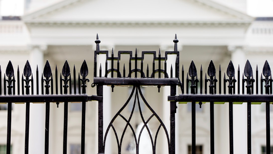 Un auto chocó contra una puerta de la Casa Blanca: murió el conductor