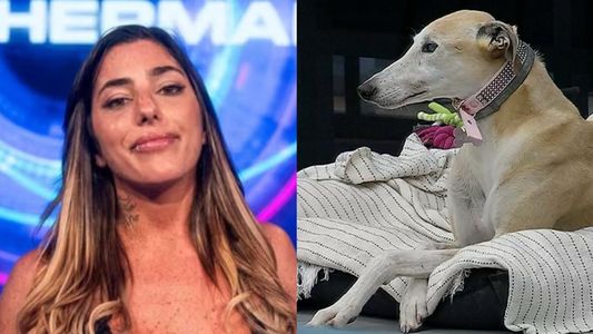 Catalina Gorostidi estalló contra la producción de Gran Hermano por la salud de la perra Paris: Otra vez...