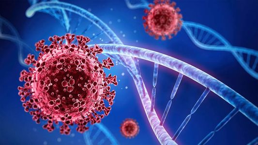 Ómicron BA.5 en Argentina: el Ministerio de Salud confirmó la presencia de la variante supercontagiosa