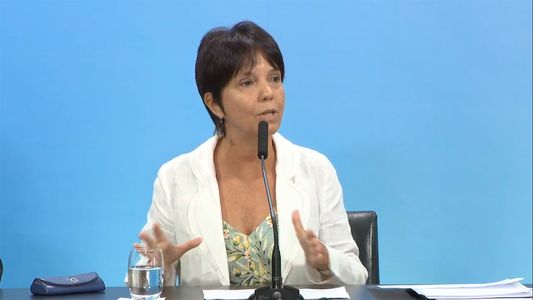 Marcó del Pont adelantó que la AFIP apuntará a los sectores de mayor capacidad para cumplir con el FMI