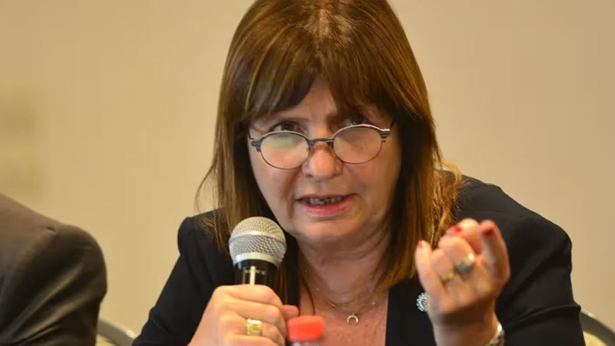 Patricia Bullrich Ratificó El Protocolo Antipiquete En La Marcha Universitaria 5058