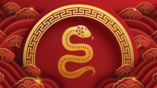 Horóscopo chino: los 4 animales más favorecidos por la Serpiente de Madera