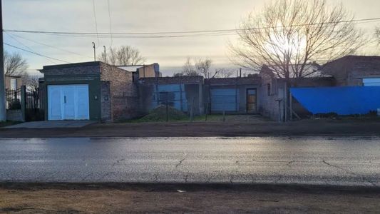 Horror en Bahía Blanca: murió de un infarto y sus perros reaccionaron de la peor manera