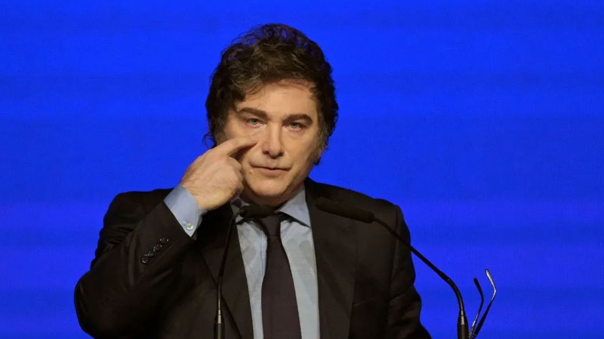 Javier Milei anunció que en junio volverán las retenciones: Avísenle al campo que liquide ahora. (Foto: archivo)