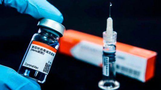 El Gobierno negocia un acuerdo por la vacuna china con el Instituto Butantan de San Pablo