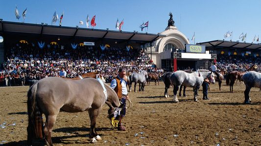 La Rural pone primera y vuelve a la presencialidad: los detalles de la tradicional muestra del campo