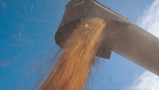 Medidas, señales y clima ponen en alerta máxima al agro argentino