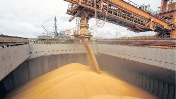 Proyecciones agrícolas FAO 2030: Argentina cambia o se encamina a perder posiciones