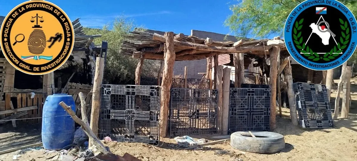 El animal fue robado del corral donde vivía y posteriormente faenado. 