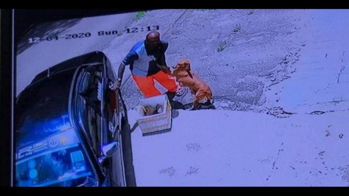 Estremecedoras imágenes de un perrita aferrándose a su dueño para que no la abandonara