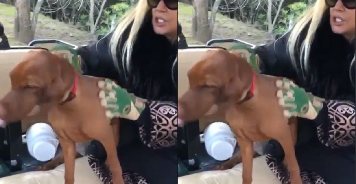 Divertido video de Susana Giménez con Rita: Se vuelve cada día más loca