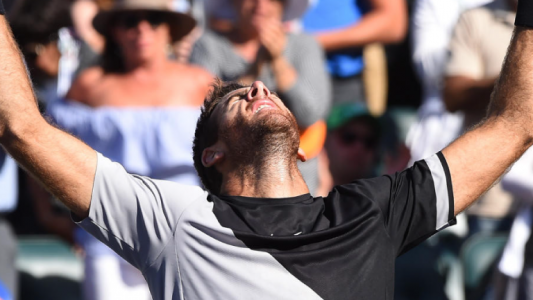 Qué tiene que pasar para que Juan Martín del Potro llegue hasta el 3° puesto del ranking esta semana