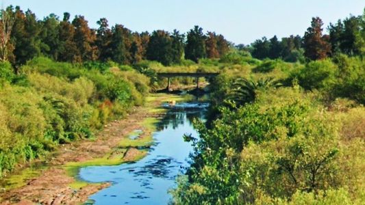 Rosario: asesinan a un adolescente de un tiro en la cabeza e investigan si fue una venganza