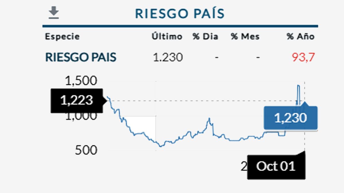 El riesgo país mantiene su valor del día anterior. Por arriba de los $1.230 puntos. (Foto: Gentileza Rava)