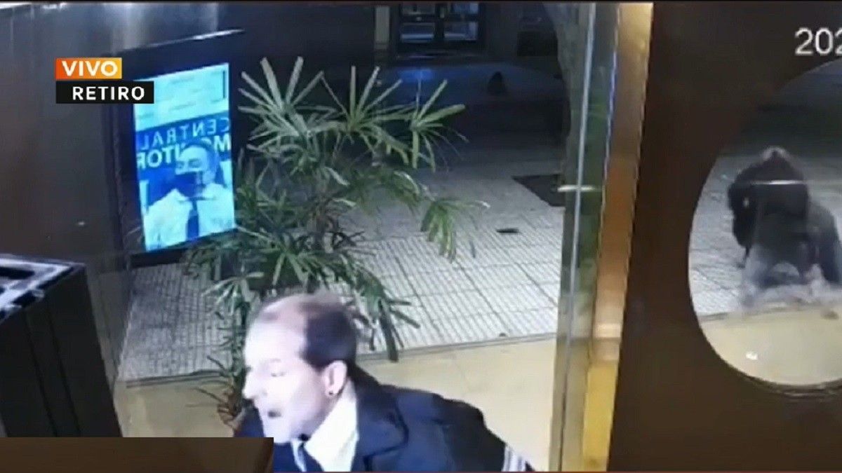 Inseguridad. La polémica reacción del guardia de seguridad. Foto: captura de Tv.&nbsp;
