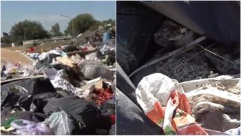 Es una bomba sanitaria: denuncian un basural repleto de gusanos a cielo abierto en Villa Celina