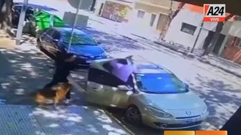 VIDEO: le pidió que levante la caca del perro y recibió una brutal golpiza de su vecina