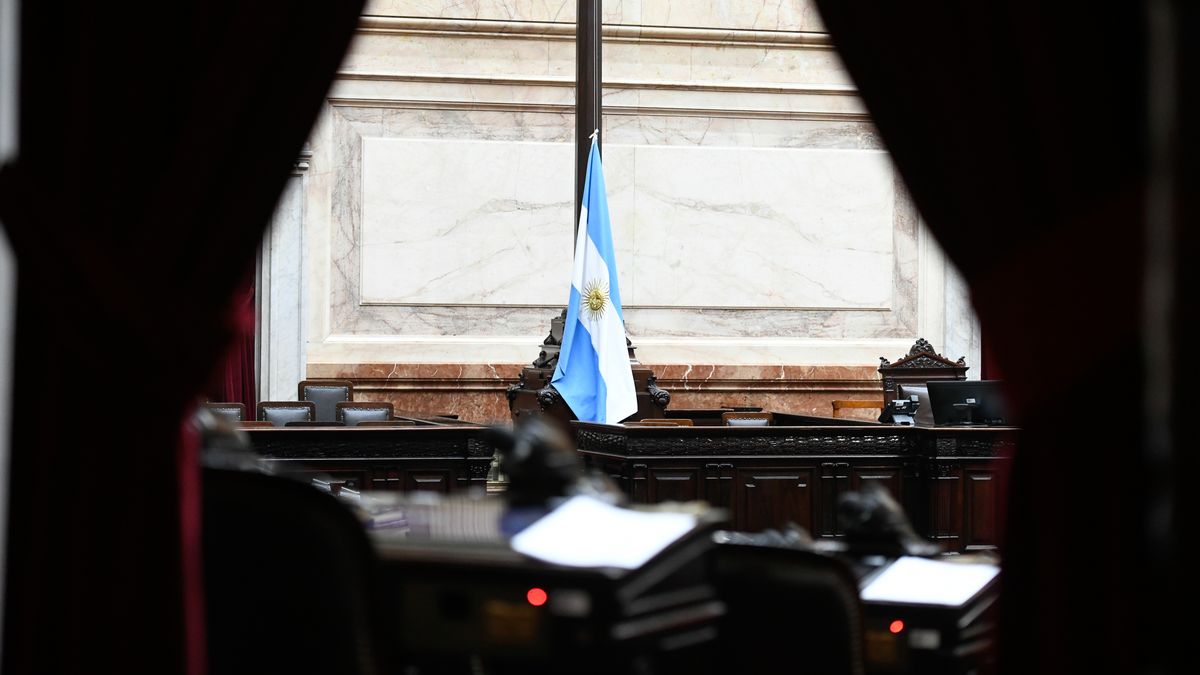 La oposición buscará reunir mañana el quórum en la Cámara de Diputados para avanzar con los proyectos vinculados con la emergencia en discapacidad y la morosidad. (Foto: archivo)