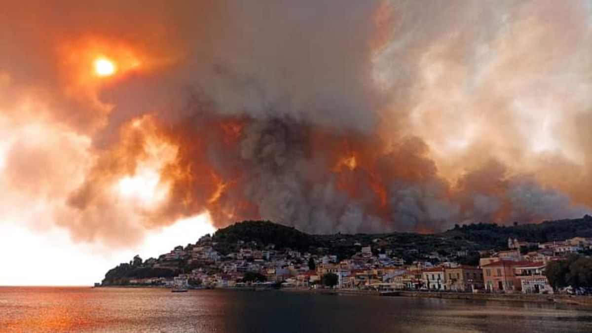 Los incendios forestales afectaron
