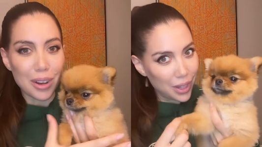 Se filtró el perfil falso de Wanda Nara en Instagram: sigue a un ex de La China Suárez