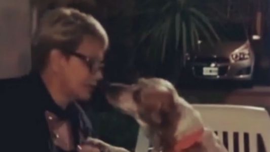 Los amores perros de Carmen Barbieri