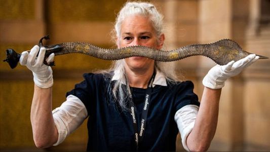 Un museo de Gran Bretaña le devuelve siete maravillas históricas y robadas a la India