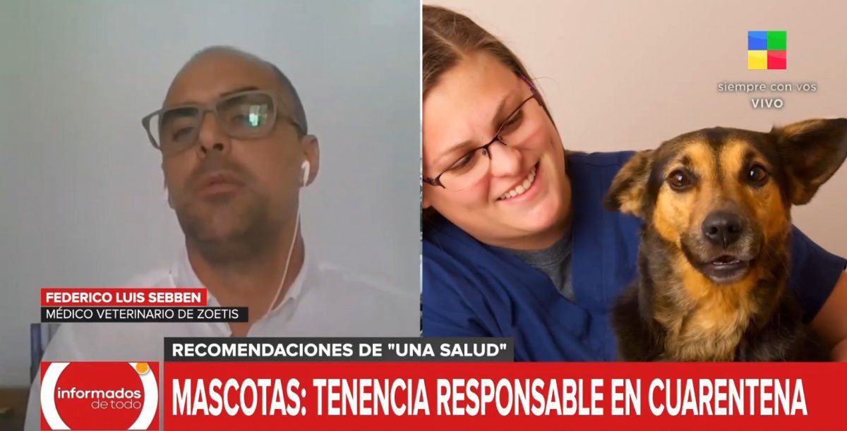 Mascotas: una salud y tenencia responsable en tiempos de cuarentena