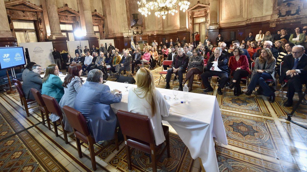 La vicepresidenta Cristina Kirchner criticó el rol de la oposición junto a legisladores del FdT (Foto: @CFKArgentina).