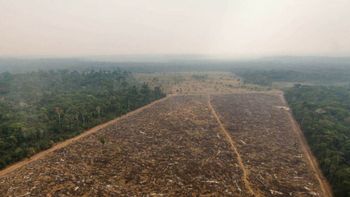 La Amazonia ya emite más CO2 del que absorbe