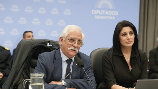 Tras aceptar cambios, el oficialismo consiguió dictamen para el proyecto de defensa de la soberanía