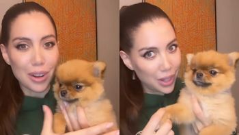 Se filtró el perfil falso de Wanda Nara en Instagram: sigue a un ex de La China Suárez