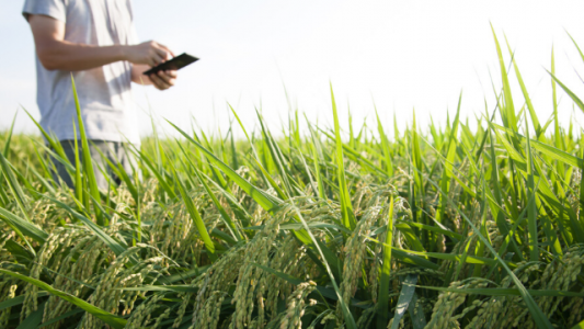 Buenas prácticas ambientales: convenio para fomentar estándares de exportación